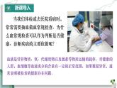 初中生物人教版（2024）七年級下冊4.4.1 流動的組織——血液 課件