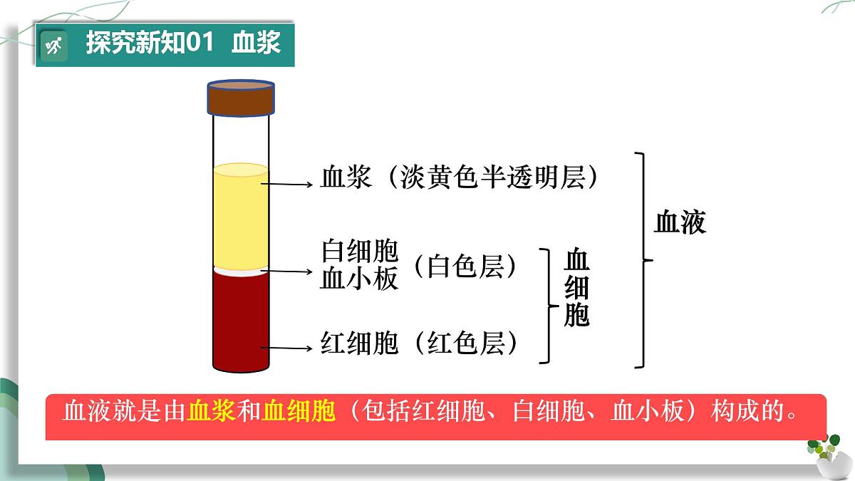 初中生物人教版（2024）七年级下册4.4.1 流动的组织——血液 课件第8页