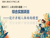 初中生物人教版（2024）七年級(jí)下冊(cè)綜合實(shí)踐項(xiàng)目 設(shè)計(jì)并制作人體結(jié)構(gòu)模型 課件