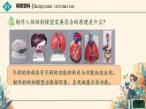 初中生物人教版（2024）七年級(jí)下冊(cè)綜合實(shí)踐項(xiàng)目 設(shè)計(jì)并制作人體結(jié)構(gòu)模型 課件