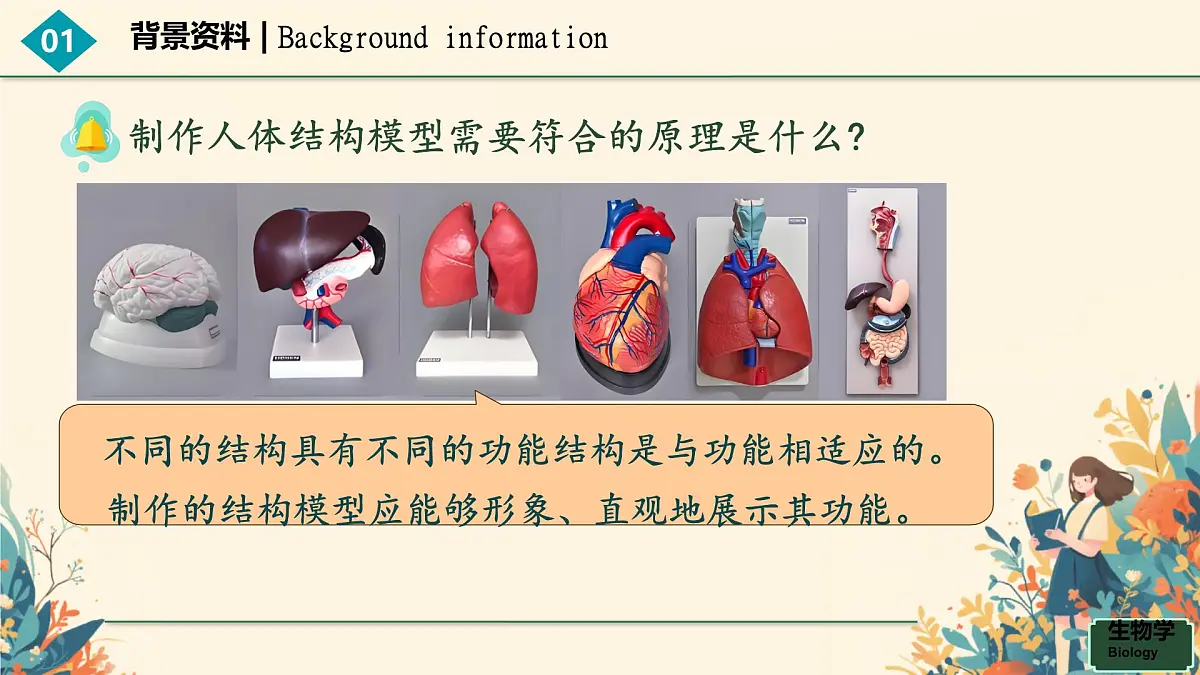初中生物人教版（2024）七年级下册综合实践项目 设计并制作人体结构模型 课件第5页