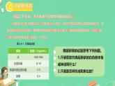 初中生物冀少版（2024）七年級下冊3.4.3 汗腺與汗液的排出 課件