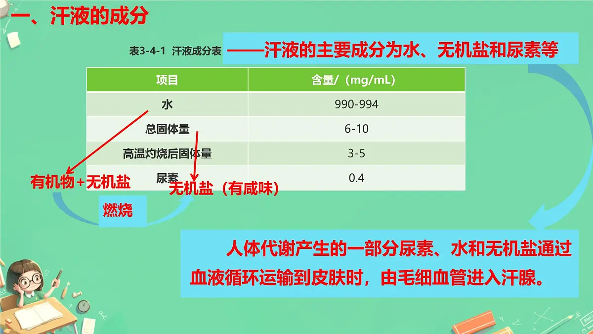 初中生物冀少版（2024）七年级下册3.4.3 汗腺与汗液的排出 课件第4页