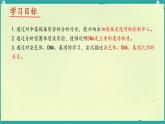 初中生物濟南版（2024）七年級下冊4.3.1  DNA是主要的遺傳物質 課件