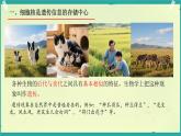 初中生物濟南版（2024）七年級下冊4.3.1  DNA是主要的遺傳物質 課件