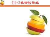初中生物蘇教版（2024）七年級下冊4.9.3 植物的繁殖 課件
