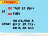 初中生物人教版（2024）七年級下冊第五章 人體內(nèi)廢物的排出 課件