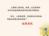 初中生物人教版（2024）七年級下冊第五章 人體內(nèi)廢物的排出 課件