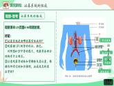 初中生物人教版（2024）七年級下冊第五章 人體內(nèi)廢物的排出 課件