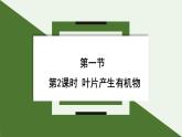 初中生物蘇教版（2024）七年級下冊4.10.1 植物的營養(yǎng)器官第2課時 課件
