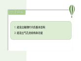 初中生物蘇教版（2024）七年級下冊4.10.1 植物的營養(yǎng)器官第2課時 課件