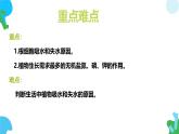 初中生物蘇教版（2024）七年級下冊4.10.1 植物的營養(yǎng)器官（第1課時） 課件