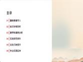 初中生物蘇教版（2024）七年級下冊4.9.2《植物的生長》 課件