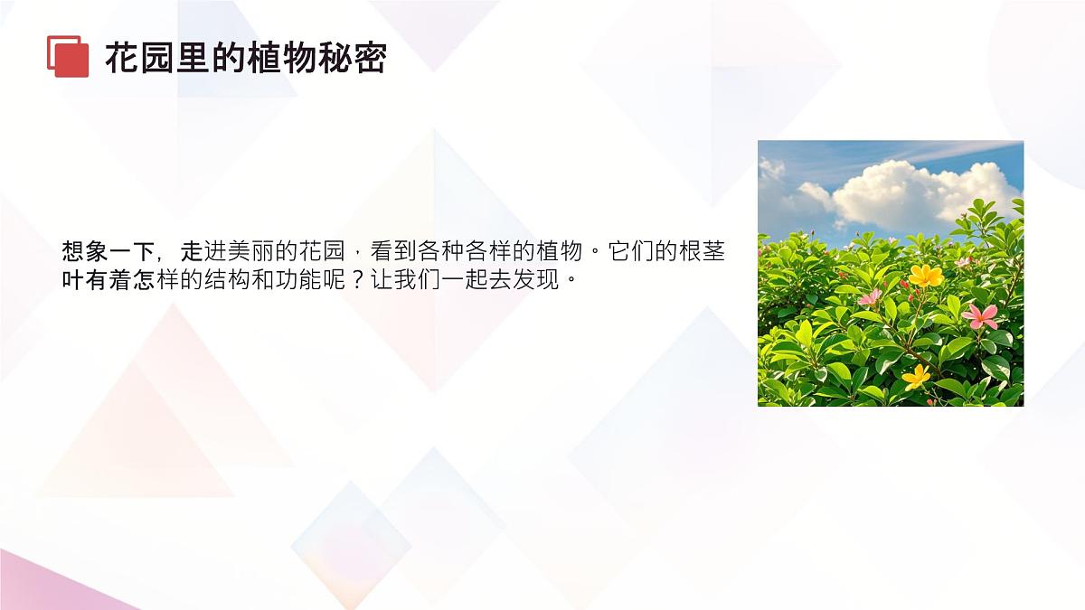 初中生物苏教版（2024）七年级下册4.9.2《植物的生长》 课件第4页