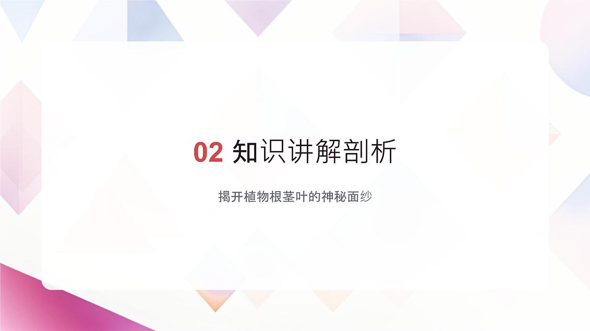 初中生物苏教版（2024）七年级下册4.9.2《植物的生长》 课件第7页