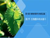 初中生物蘇教版（2024）七年級下冊4.10.2 生物圈中的水循環(huán) 課件