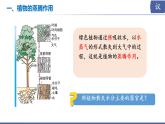 初中生物蘇教版（2024）七年級下冊4.10.2 生物圈中的水循環(huán) 課件