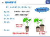初中生物蘇教版（2024）七年級下冊4.10.2 生物圈中的水循環(huán) 課件
