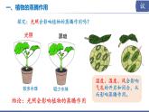 初中生物蘇教版（2024）七年級下冊4.10.2 生物圈中的水循環(huán) 課件