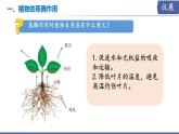 初中生物蘇教版（2024）七年級下冊4.10.2 生物圈中的水循環(huán) 課件