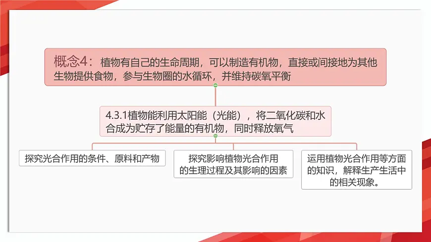 初中生物苏教版（2024）七年级下册4.11.1 植物的光合作用 课件第2页
