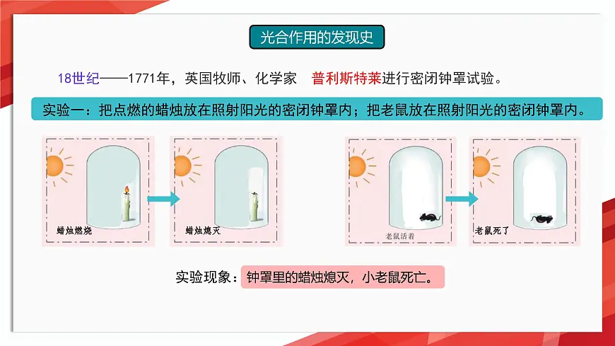 初中生物苏教版（2024）七年级下册4.11.1 植物的光合作用 课件第6页
