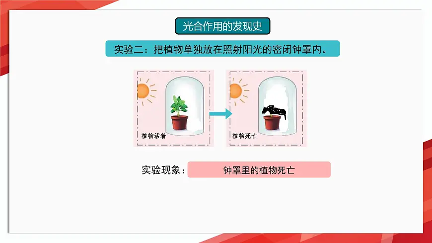 初中生物苏教版（2024）七年级下册4.11.1 植物的光合作用 课件第7页