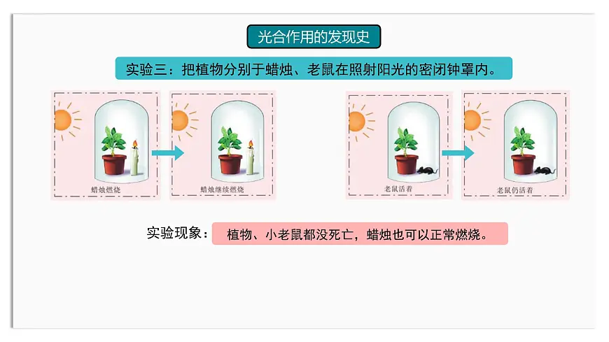 初中生物苏教版（2024）七年级下册4.11.1 植物的光合作用 课件第8页