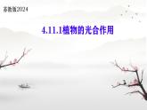 初中生物蘇教版（2024）七年級下冊4.11.1 植物的光合作用 課件