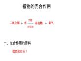 初中生物蘇教版（2024）七年級下冊4.11.1 植物的光合作用 課件