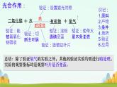 初中生物蘇教版（2024）七年級下冊4.11.1 植物的光合作用 課件