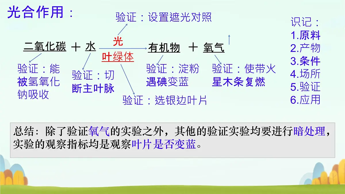 初中生物苏教版（2024）七年级下册4.11.1 植物的光合作用 课件第4页