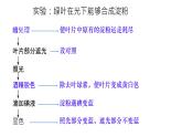 初中生物蘇教版（2024）七年級下冊4.11.1 植物的光合作用 課件