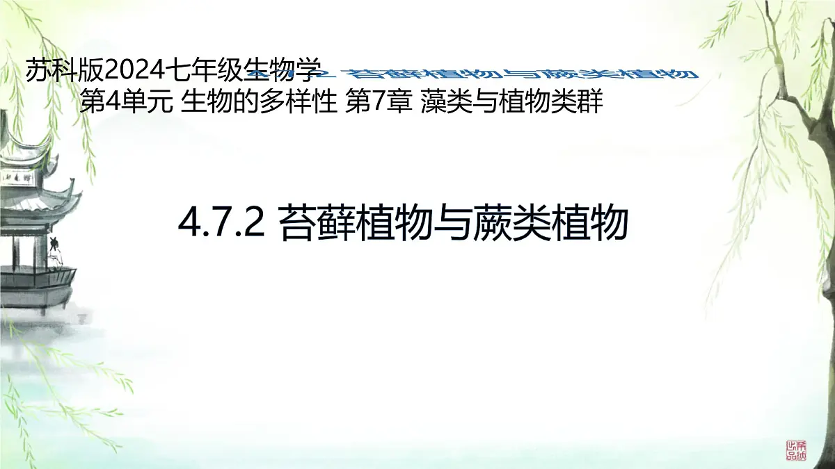 初中生物苏科版（2024）七年级下册4.7.2 苔藓植物与蕨类植物 课件第1页