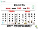 初中生物蘇科版（2024）七年級下冊4.8.1 無脊椎動物 課件