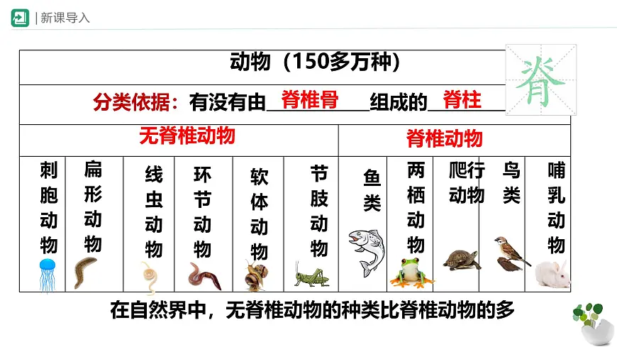 初中生物苏科版（2024）七年级下册4.8.1 无脊椎动物 课件第2页