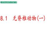 初中生物蘇科版（2024）七年級下冊4.8.1 無脊椎動物 課件