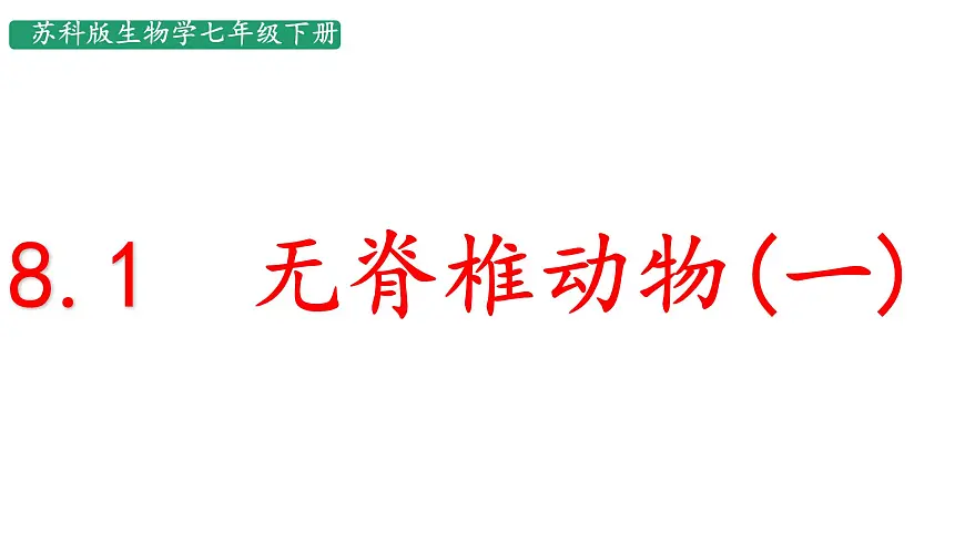 初中生物苏科版（2024）七年级下册4.8.1 无脊椎动物 课件第3页