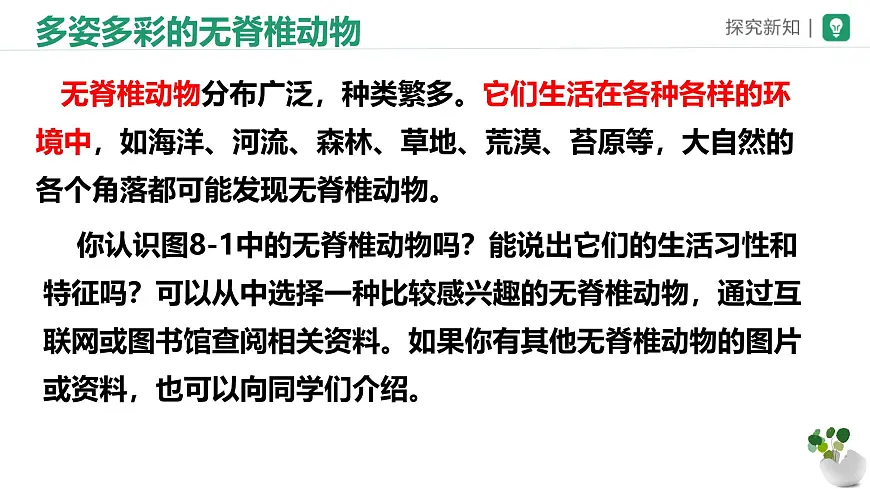 初中生物苏科版（2024）七年级下册4.8.1 无脊椎动物 课件第4页