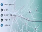 4.6.2神經(jīng)調節(jié)課件2024-2025學年人教版生物八年級上冊