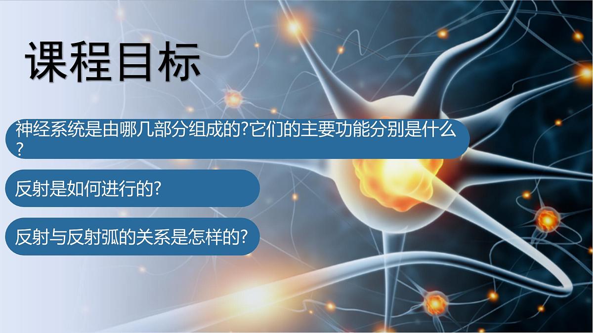 4.6.2神经调节课件2024-2025学年人教版生物八年级上册第3页