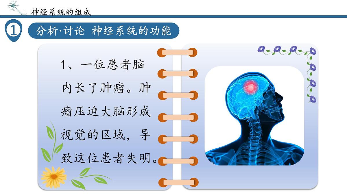 4.6.2神经调节课件2024-2025学年人教版生物八年级上册第6页