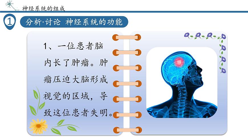 4.6.2神经调节课件2024-2025学年人教版生物八年级上册第6页