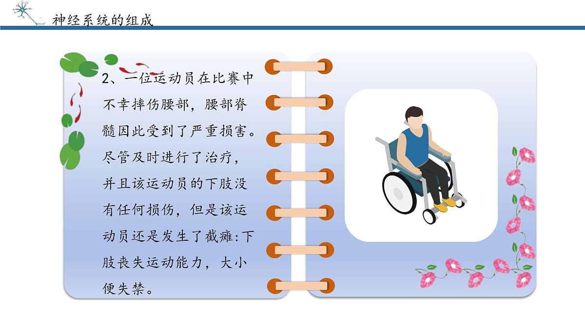 4.6.2神经调节课件2024-2025学年人教版生物八年级上册第7页