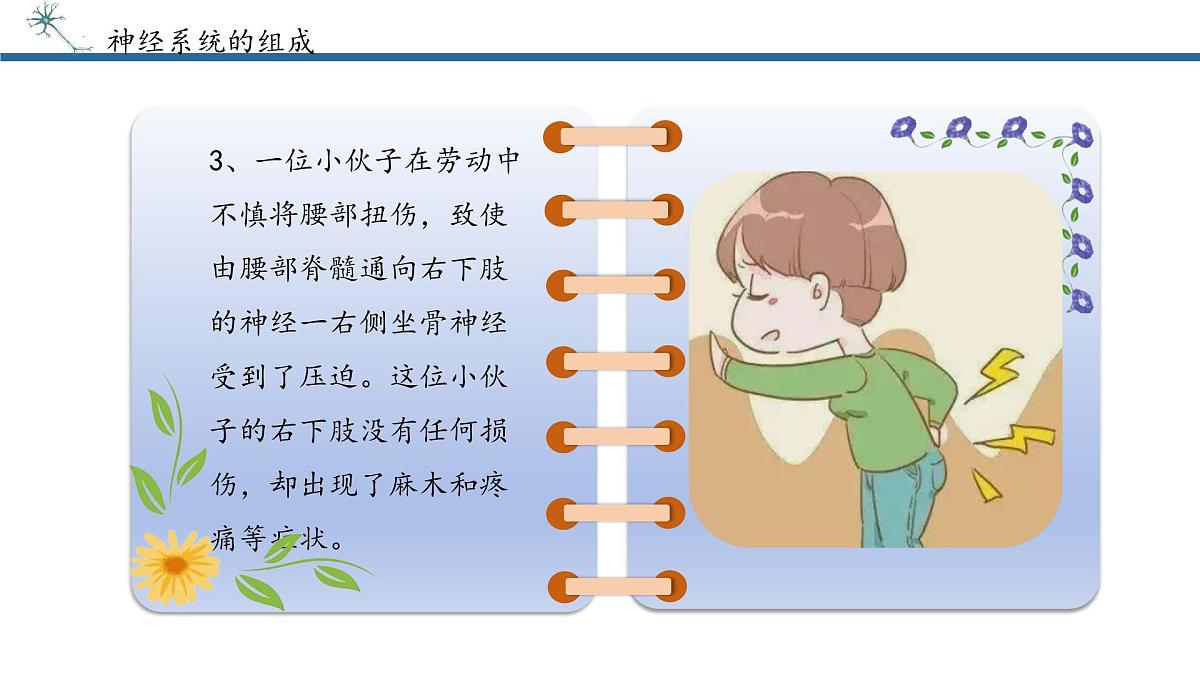 4.6.2神经调节课件2024-2025学年人教版生物八年级上册第8页