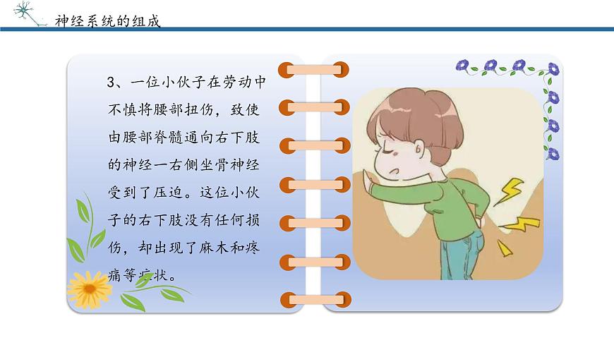4.6.2神经调节课件2024-2025学年人教版生物八年级上册第8页