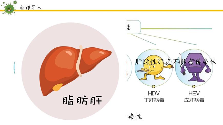 4.7.1传染病及其预防课件2024-2025学年人教版生物八年级上册第5页