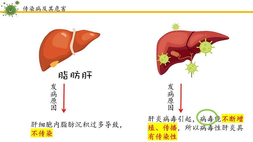 4.7.1传染病及其预防课件2024-2025学年人教版生物八年级上册第7页
