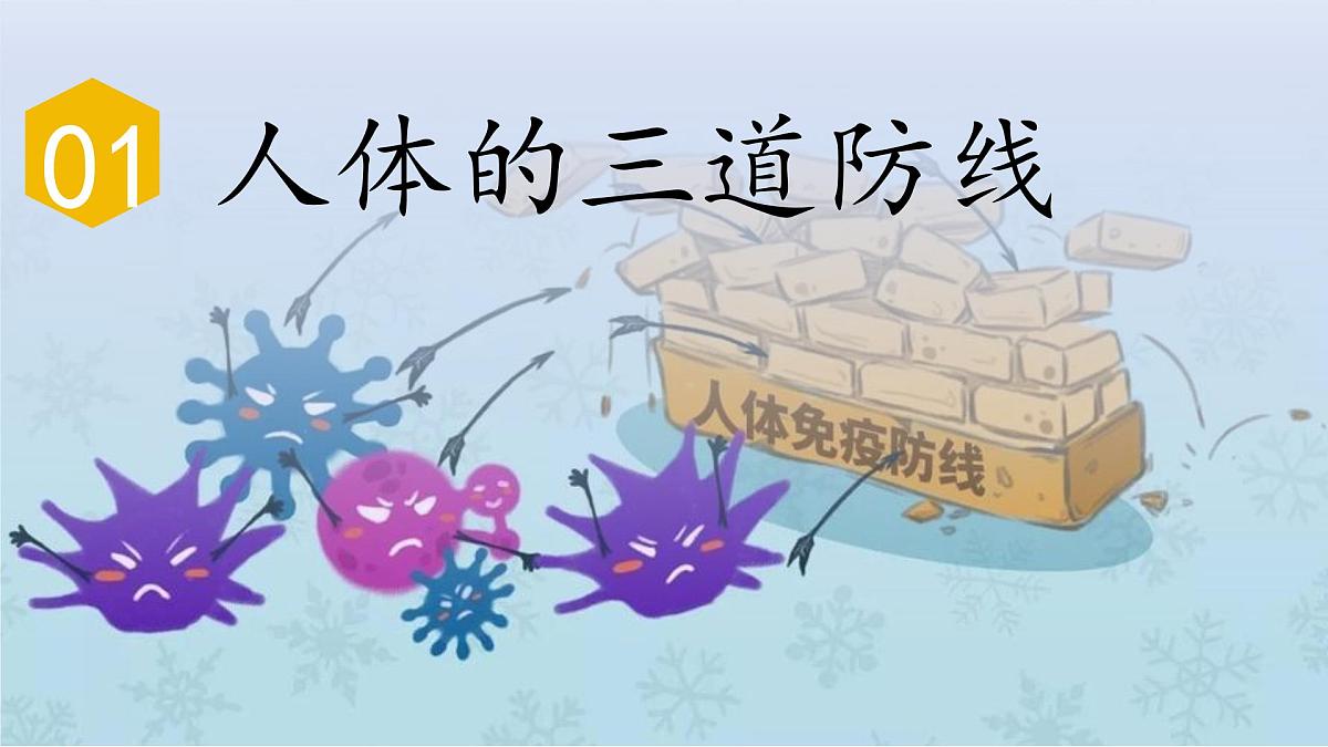 4.7.2免疫与免疫规划课件2024-2025学年人教版生物八年级上册第6页