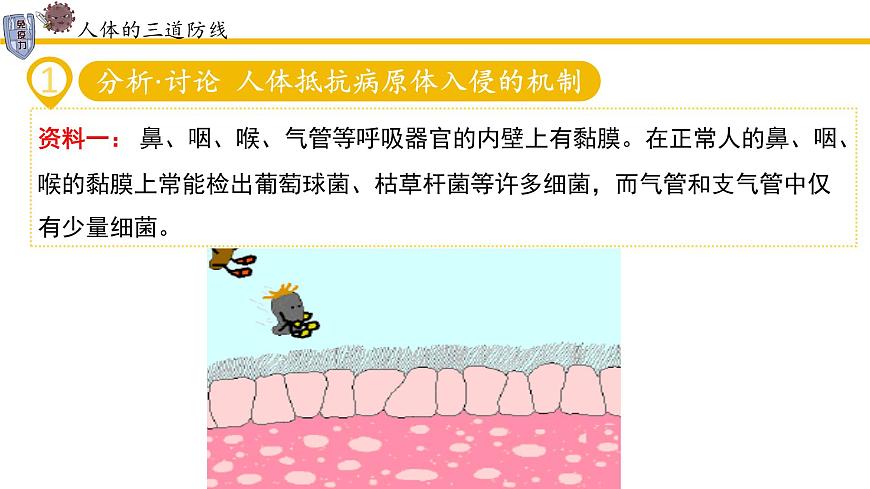 4.7.2免疫与免疫规划课件2024-2025学年人教版生物八年级上册第7页